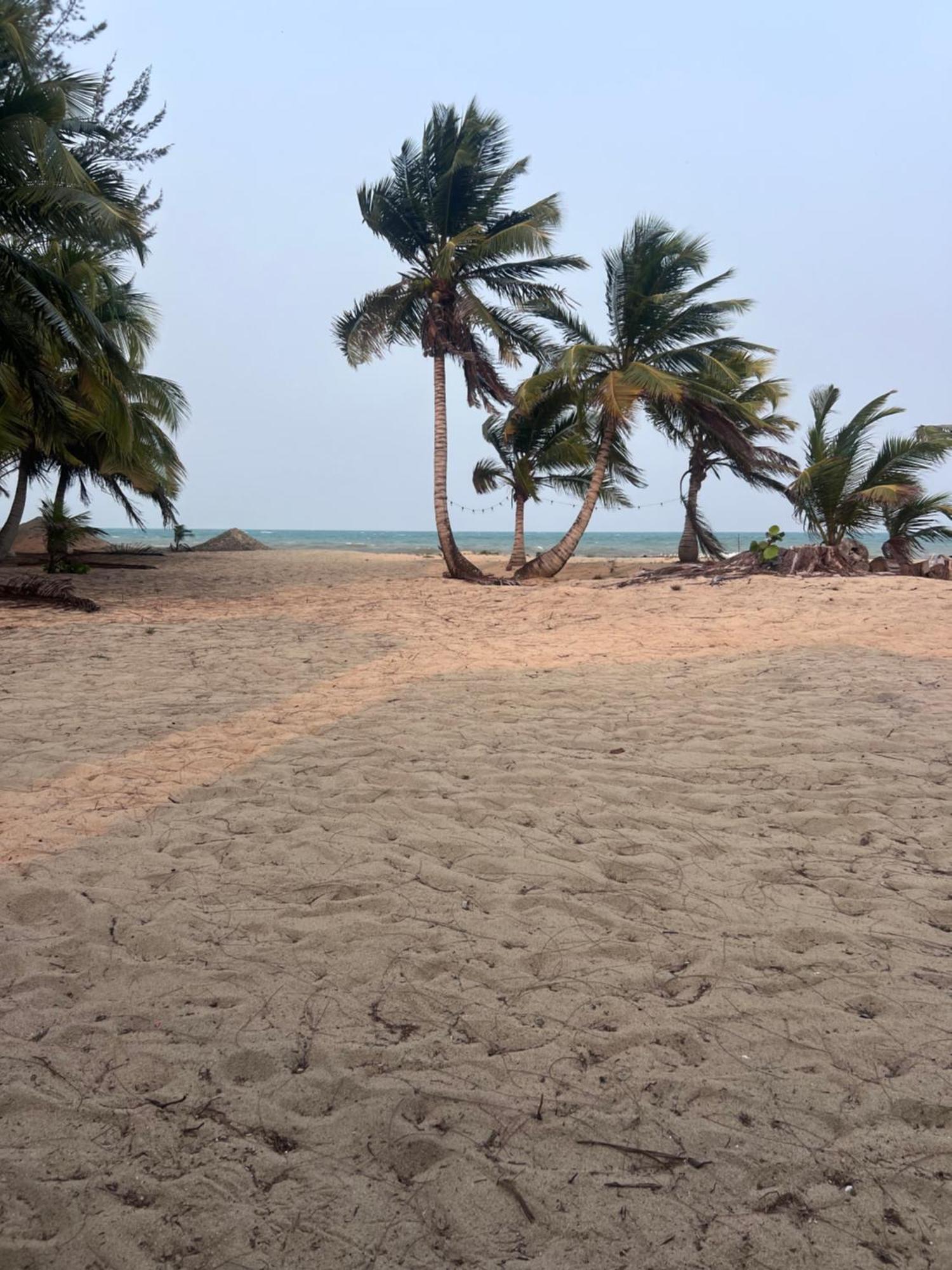 Sabal Beach Punta Gorda Exterior foto